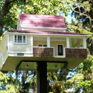 Birdhouse - Replica of Atkinson Home